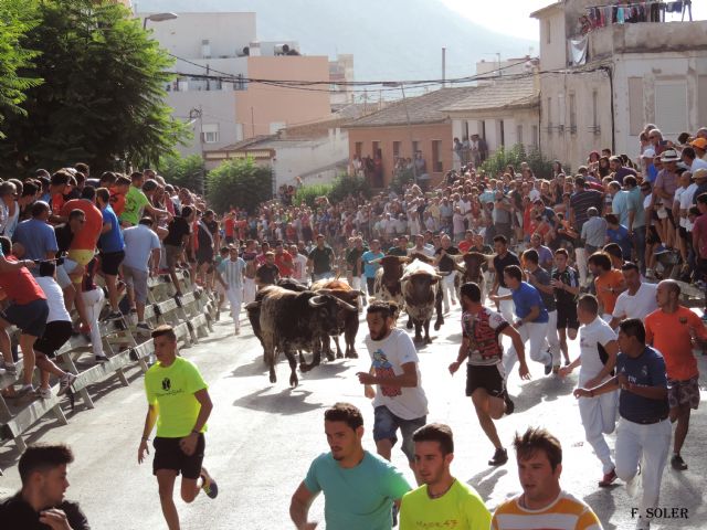 Encierro sin sobresaltos - 1, Foto 1