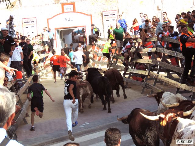 Encierro sin sobresaltos - 2, Foto 2