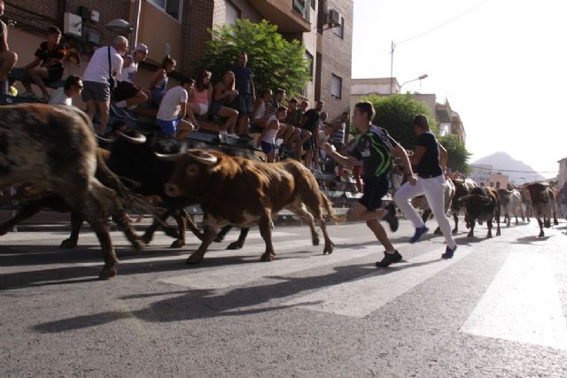 Encierro sin sobresaltos - 3, Foto 3
