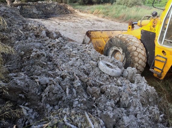 Ciudadanos exige al Gobierno local que informe sobre los vertidos realizados en el término municipal de Alquerías - 2, Foto 2