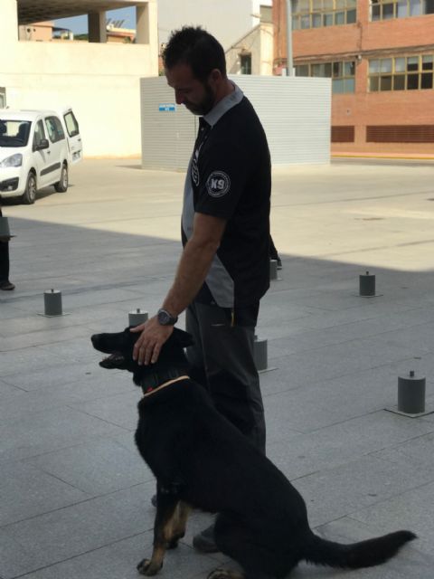 Una Unidad Canina en Torre-Pacheco - 1, Foto 1