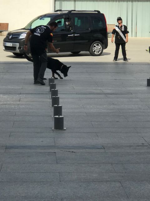 Una Unidad Canina en Torre-Pacheco - 2, Foto 2