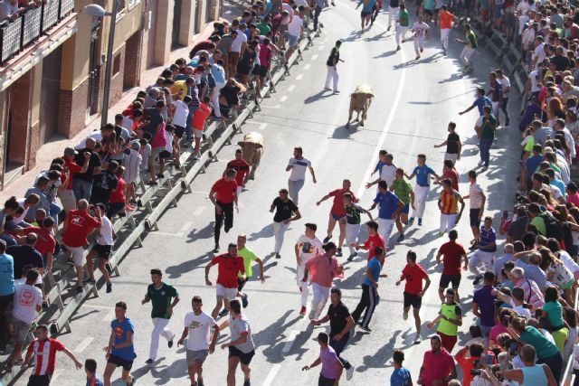 Blanco sobre gris. Los llamativos jaboneros de Prieto de la Cal vuelan sobre el asfalto de Calasparra - 1, Foto 1