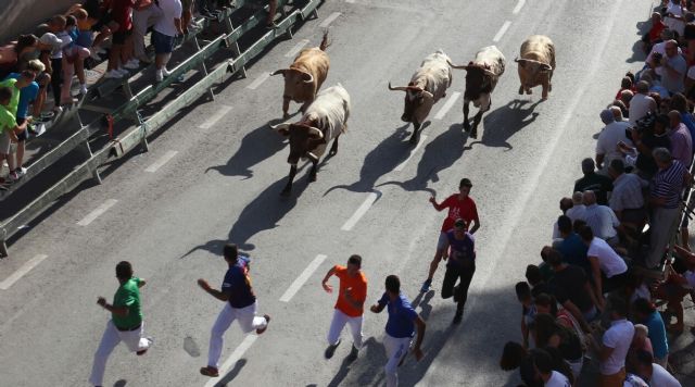 Blanco sobre gris. Los llamativos jaboneros de Prieto de la Cal vuelan sobre el asfalto de Calasparra - 2, Foto 2