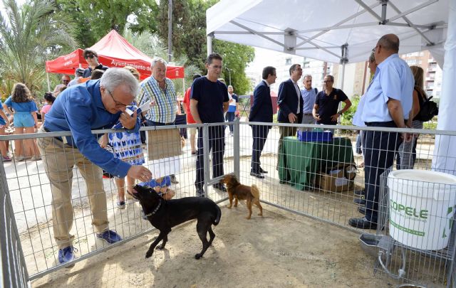 Todo sobre el cultivo de gusanos de seda y talleres artesanales en la Muestra de animales autóctonos de Teniente Flomesta - 3, Foto 3