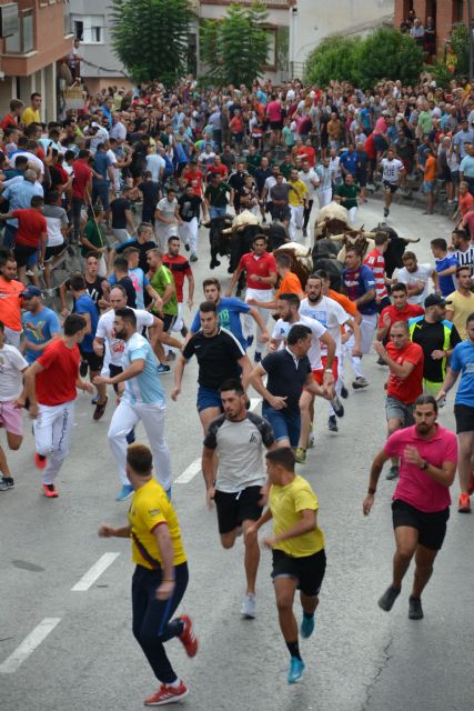 Cuarto encierro: Encierro limpio y con espectaculares carreras el que se ha vivido hoy en Calasparra - 1, Foto 1