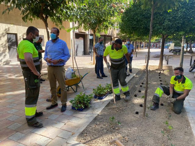 El Plan Hiedra viste de verde el barrio de Santa Eulalia creando más espacios naturalizados - 1, Foto 1