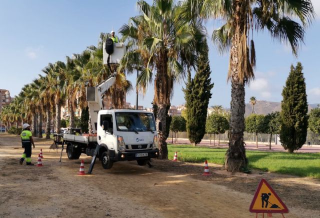 Infraestructuras aprovecha el verano para renovar alumbrado público y mejorar la eficiencia energética - 1, Foto 1