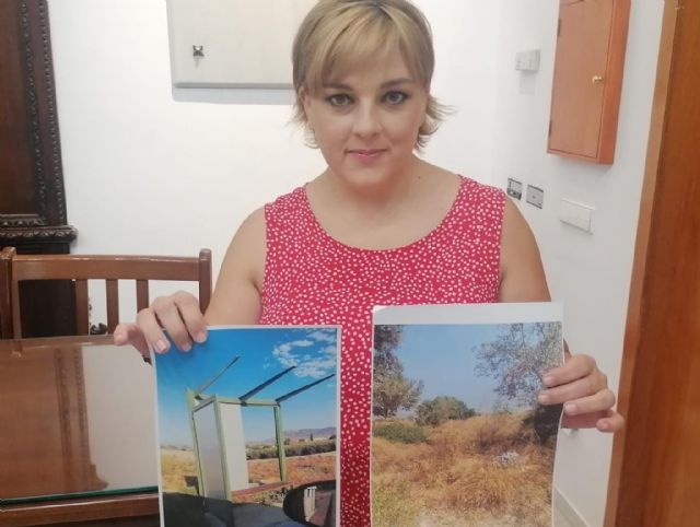 IU-Verdes Lorca pide al Ayuntamiento que presione a la CARM para mejorar la seguridad de la carretera de Pulpí - 1, Foto 1