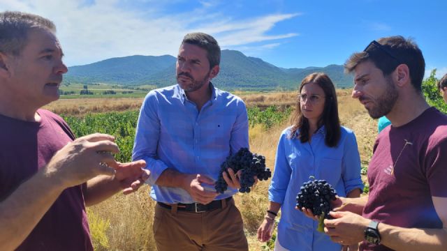 El consejero Luengo visita la Bodega Monastrell de Cehegín, la primera certificada en agricultura biodinámica de la Región de Murcia - 1, Foto 1