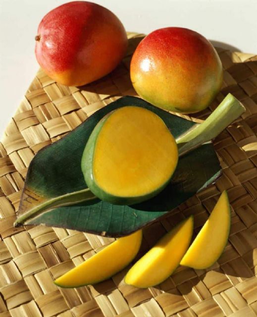 Retos y Desafíos de la Industria del Mango de Perú - 1, Foto 1