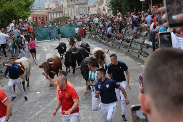 Rápido y limpio el tercer encierro con los novillos de la Ganadería Juan Luis Fraile - 1, Foto 1