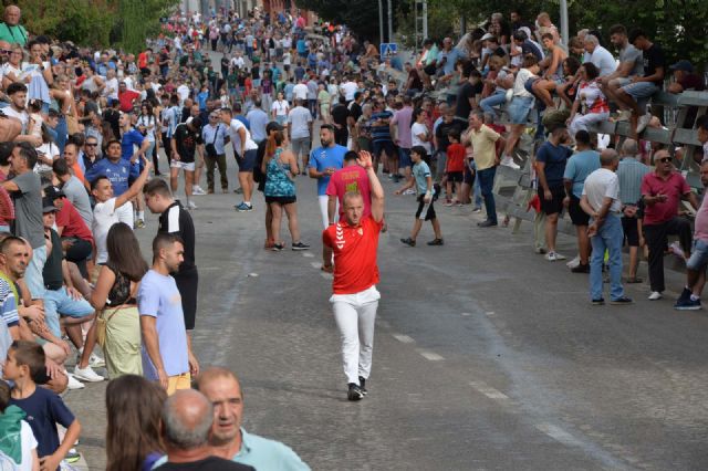 Rápido y limpio el tercer encierro con los novillos de la Ganadería Juan Luis Fraile - 3, Foto 3