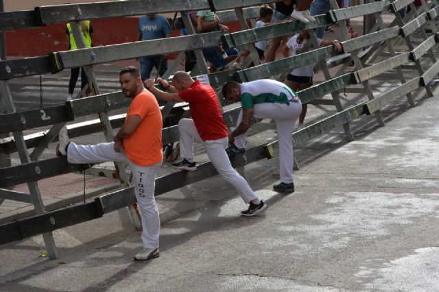 Rápido y limpio el tercer encierro con los novillos de la Ganadería Juan Luis Fraile - 4, Foto 4