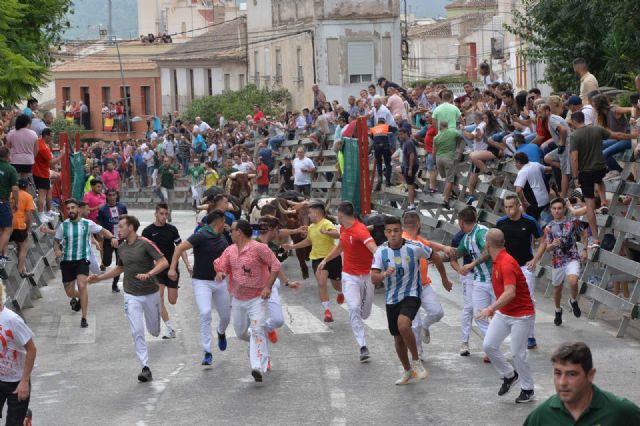 Rápido y limpio el tercer encierro con los novillos de la Ganadería Juan Luis Fraile - 5, Foto 5