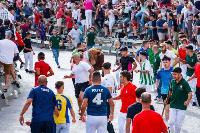 Multitudinario encierro con los novillos de Dolores Aguirre - 2, Foto 2