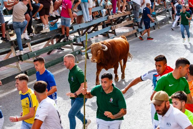 Multitudinario encierro con los novillos de Dolores Aguirre - 3, Foto 3