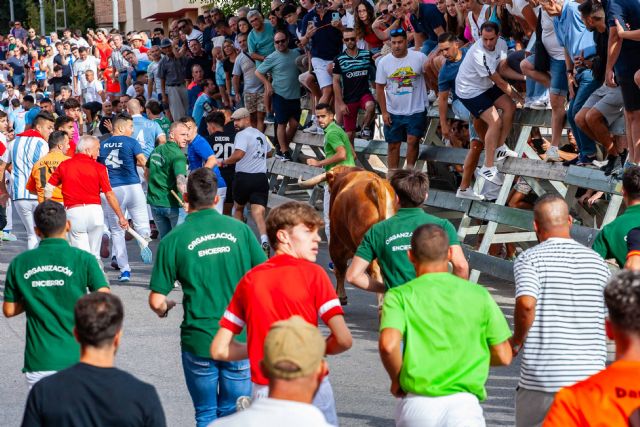 Multitudinario encierro con los novillos de Dolores Aguirre - 4, Foto 4