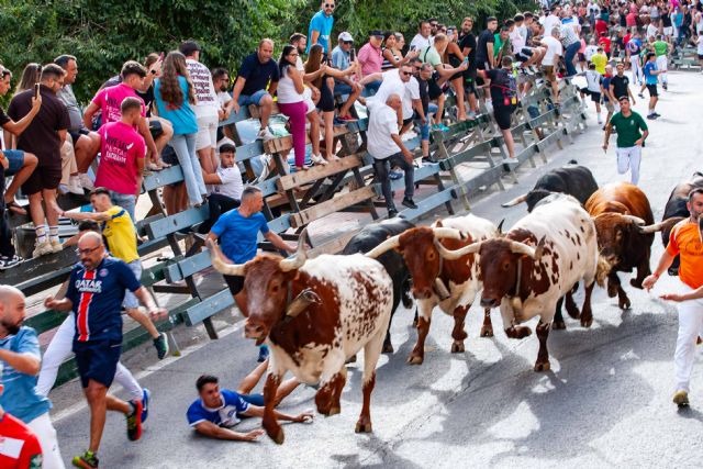 Multitudinario encierro con los novillos de Dolores Aguirre - 5, Foto 5