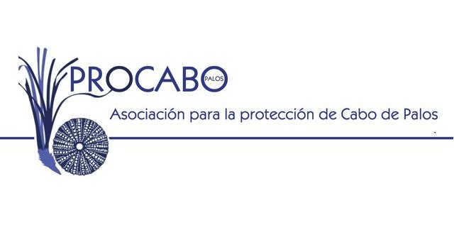 PROCABO propone alternativas de naturalización frente al uso de césped artificial en Cabo de Palos - 1, Foto 1