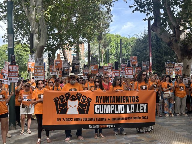 Podemos apoya la masiva concentración animalista en Murcia por el cuidado de las colonias felinas - 2, Foto 2