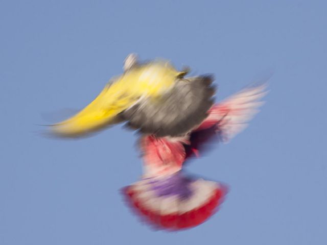 La fotógrafa Teresa Arnal dirigirá una visita por su exposición Como birlochas al aire explicando su narrativa visual el 19 de octubre en la Sala Caballerizas - 2, Foto 2