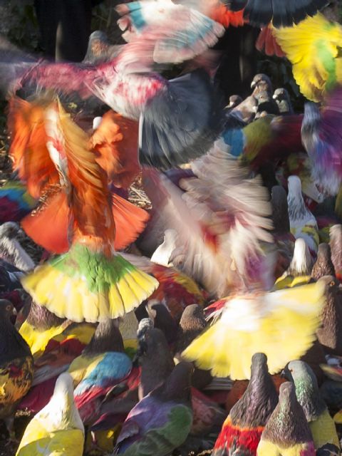 La fotógrafa Teresa Arnal dirigirá una visita por su exposición Como birlochas al aire explicando su narrativa visual el 19 de octubre en la Sala Caballerizas - 3, Foto 3