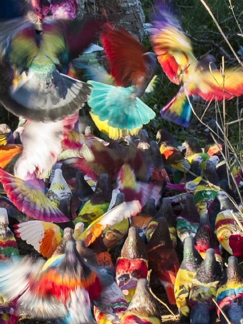 La fotógrafa Teresa Arnal dirigirá una visita por su exposición Como birlochas al aire explicando su narrativa visual el 19 de octubre en la Sala Caballerizas - 4, Foto 4