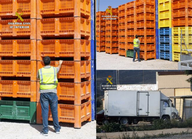 La Guardia Civil desmantela un grupo delictivo dedicado a la sustracción y comercialización ilícita de palots - 2, Foto 2