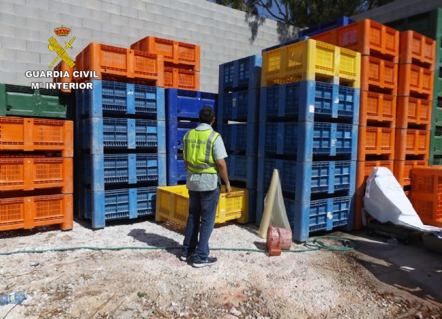 La Guardia Civil desmantela un grupo delictivo dedicado a la sustracción y comercialización ilícita de palots - 5, Foto 5