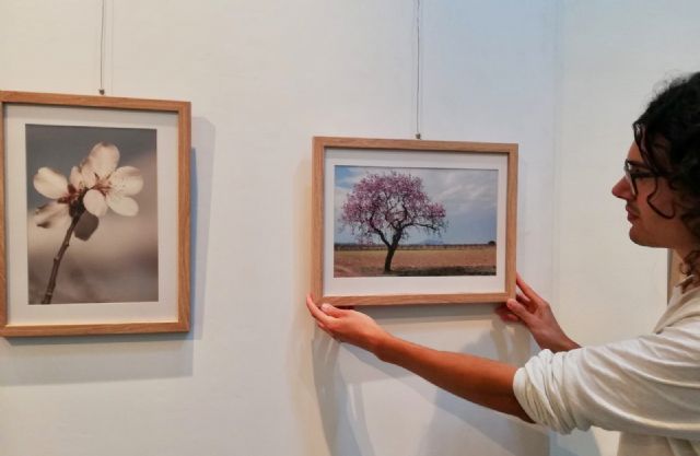 El Plan de Espacios Expositivos lleva obras de creadores de la Región a salas de cinco municipios - 2, Foto 2