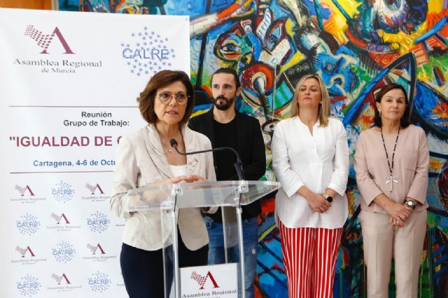 Los Parlamentos del Grupo de Igualdad europeo insisten en la necesidad de acompañar de un informe de impacto de género cualquier normativa - 2, Foto 2