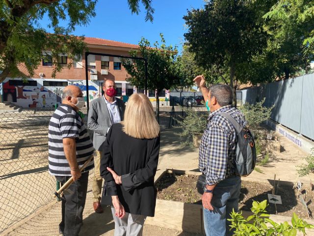 El Plan Hiedra crea perímetros verdes en los parques y jardines y fomenta la concienciación medio ambiental - 2, Foto 2