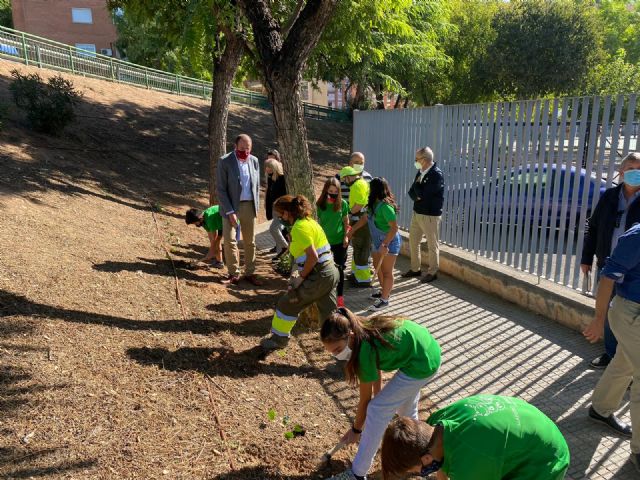 El Plan Hiedra crea perímetros verdes en los parques y jardines y fomenta la concienciación medio ambiental - 3, Foto 3