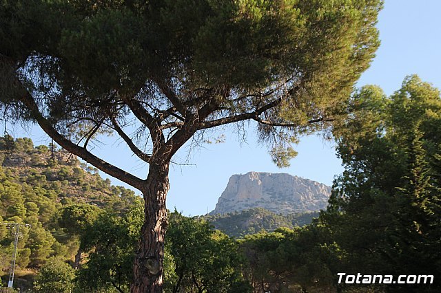 Sierra Espuña: Otoño educativo y aventurero en el Aula de Naturaleza Las Alquerías, Foto 2
