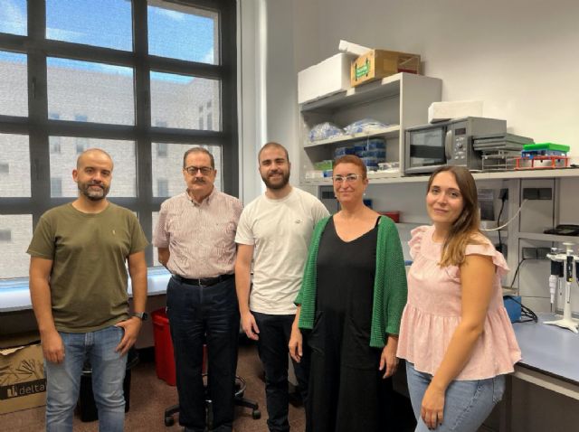 Investigadores de la UMU y el IMIB demuestran que los trasplantes de células madre son más eficaces si se realizan con células del mismo paciente - 1, Foto 1