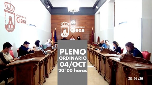 El Pleno pide al Gobierno regional que restablezca los programas de empleabilidad y que no abandonen a 3.500 personas - 1, Foto 1