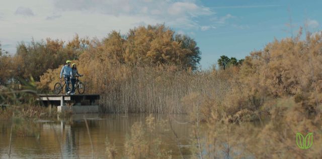 5 rutas en bici para descubrir la Vega Baja a golpe de pedal - 4, Foto 4