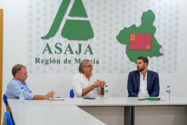 Antelo: “Socialistas y populares traicionan al campo de la Región con acuerdos que permiten la entrada de productos extranjeros sin control” - 2, Foto 2