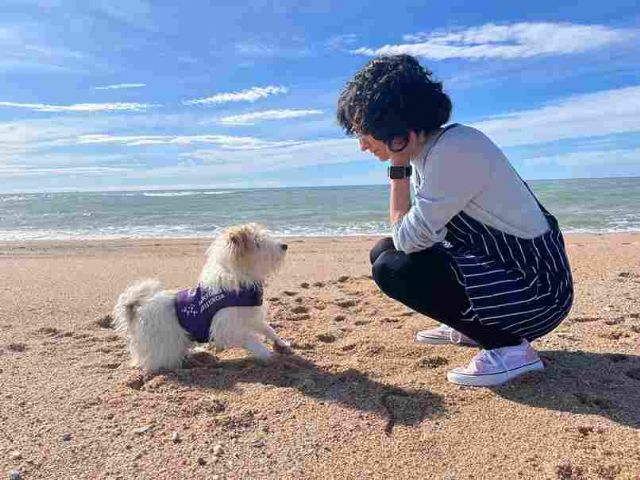 La importancia de los perros alerta: detectan y avisan conantelación situaciones de salud críticas - 1, Foto 1