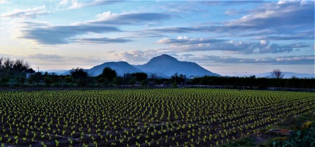 El Colectivo El Bancal alerta del grave impacto del proyecto de circunvalación sur de Santomera y exige alternativas menos destructivas - 1, Foto 1