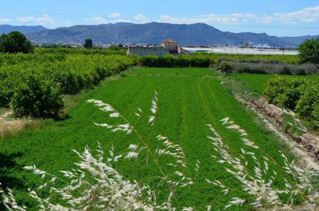 El Colectivo El Bancal alerta del grave impacto del proyecto de circunvalación sur de Santomera y exige alternativas menos destructivas - 3, Foto 3
