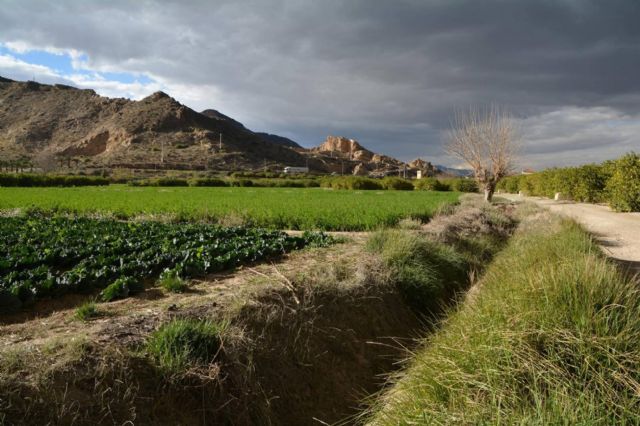 El Colectivo El Bancal alerta del grave impacto del proyecto de circunvalación sur de Santomera y exige alternativas menos destructivas - 4, Foto 4