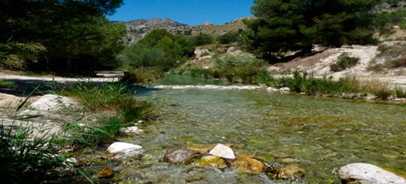 El río Luchena, un espacio protegido de gran valor ecológico, sigue esperando el plan de restauración prometido por la CHS - 3, Foto 3