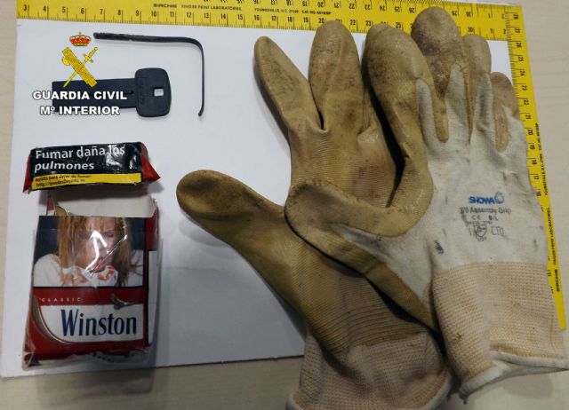 La Guardia Civil desmantela un grupo juvenil dedicado al robo en interior de vehículos - 2, Foto 2