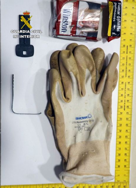 La Guardia Civil desmantela un grupo juvenil dedicado al robo en interior de vehículos - 3, Foto 3