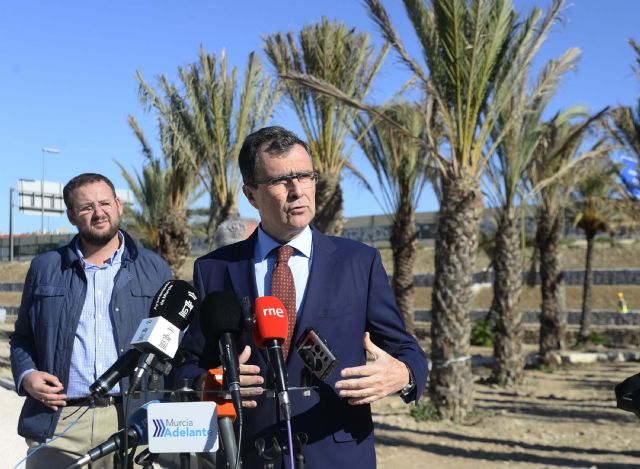 Más de 1.500 palmeras, álamos y frutales serán el pulmón de ´Murcia Río´ - 2, Foto 2
