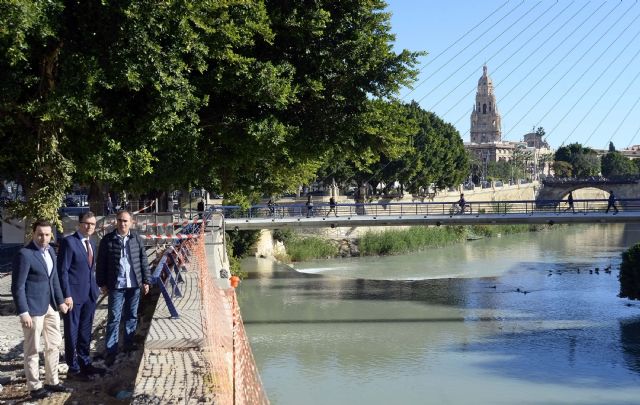 Más de 1.500 palmeras, álamos y frutales serán el pulmón de ´Murcia Río´ - 3, Foto 3