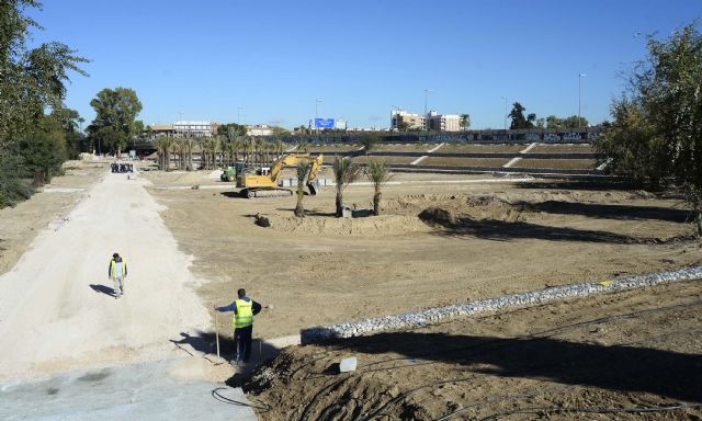 Más de 1.500 palmeras, álamos y frutales serán el pulmón de ´Murcia Río´ - 4, Foto 4