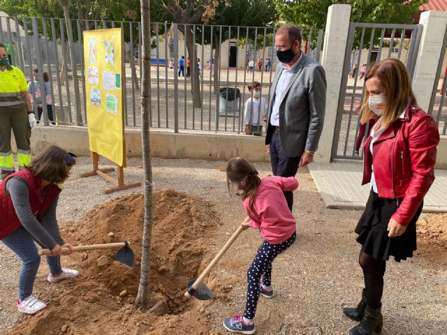 Avanza el Plan Foresta en los centros educativos respetando los protocolos Covid - 2, Foto 2